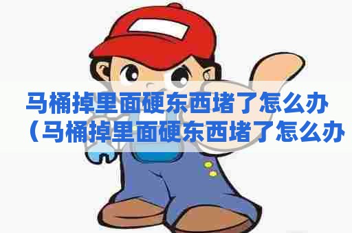 马桶掉里面硬东西堵了怎么办(马桶掉里面硬东西堵了怎么办小妙招) 马桶掉里面硬东西堵了怎么办(马桶掉里面硬东西堵了怎么办小妙招)