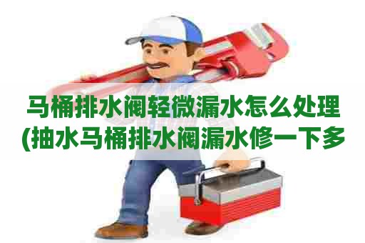 马桶排水阀轻微漏水怎么处理(抽水马桶排水阀漏水修一下多少钱) 马桶排水阀轻微漏水怎么处理(抽水马桶排水阀漏水修一下多少钱)