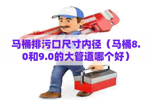 马桶排污口尺寸内径（马桶8.0和9.0的大管道哪个好）