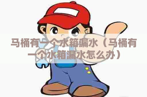 马桶有一个水箱漏水(马桶有一个水箱漏水怎么办) 马桶有一个水箱漏水(马桶有一个水箱漏水怎么办)