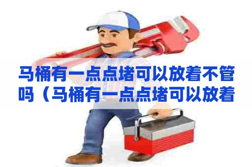 马桶有一点点堵可以放着不管吗(马桶有一点点堵可以放着不管吗图片) 马桶有一点点堵可以放着不管吗(马桶有一点点堵可以放着不管吗图片)