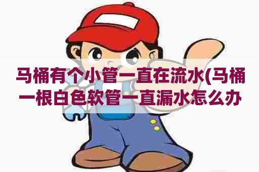 马桶有个小管一直在流水(马桶一根白色软管一直漏水怎么办) 马桶有个小管一直在流水(马桶一根白色软管一直漏水怎么办)