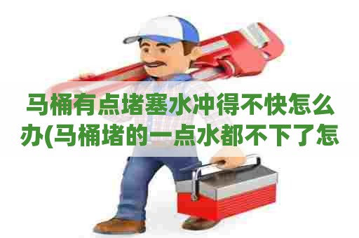 马桶有点堵塞水冲得不快怎么办(马桶堵的一点水都不下了怎么办)