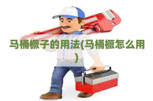马桶橛子的用法(马桶橛怎么用) 马桶橛子的用法(马桶橛怎么用)