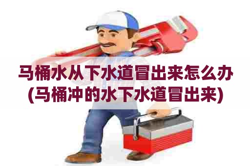 马桶水从下水道冒出来怎么办(马桶冲的水下水道冒出来) 马桶水从下水道冒出来怎么办(马桶冲的水下水道冒出来)