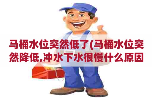 马桶水位突然低了(马桶水位突然降低,冲水下水很慢什么原因)