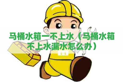 马桶水箱一不上水(马桶水箱不上水漏水怎么办) 马桶水箱一不上水(马桶水箱不上水漏水怎么办)