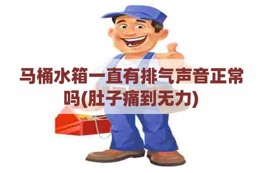 马桶水箱一直有排气声音正常吗(肚子痛到无力) 马桶水箱一直有排气声音正常吗(肚子痛到无力)