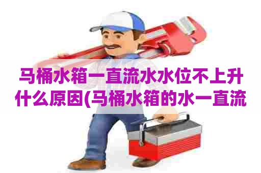 马桶水箱一直流水水位不上升什么原因(马桶水箱的水一直流控制不住该咋办)