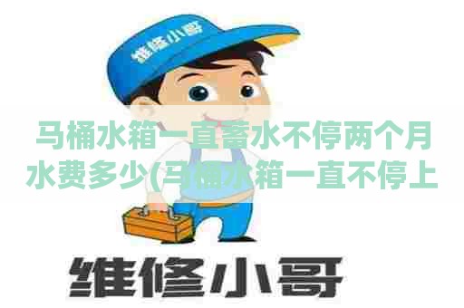 马桶水箱一直蓄水不停两个月水费多少(马桶水箱一直不停上水)