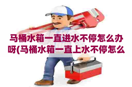 马桶水箱一直进水不停怎么办呀(马桶水箱一直上水不停怎么办) 马桶水箱一直进水不停怎么办呀(马桶水箱一直上水不停怎么办)