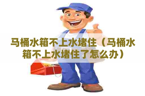 马桶水箱不上水堵住（马桶水箱不上水堵住了怎么办）