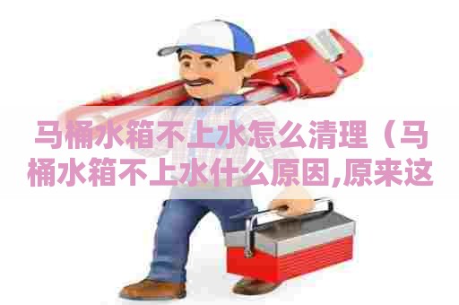 马桶水箱不上水怎么清理(马桶水箱不上水什么原因,原来这么简单,来晚了) 马桶水箱不上水怎么清理(马桶水箱不上水什么原因,原来这么简单,来晚了)