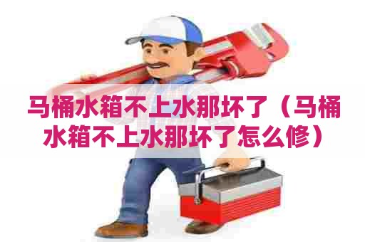 马桶水箱不上水那坏了(马桶水箱不上水那坏了怎么修) 马桶水箱不上水那坏了(马桶水箱不上水那坏了怎么修)