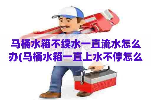 马桶水箱不续水一直流水怎么办(马桶水箱一直上水不停怎么办) 马桶水箱不续水一直流水怎么办(马桶水箱一直上水不停怎么办)