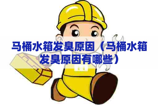 马桶水箱发臭原因（马桶水箱发臭原因有哪些）