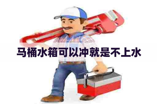 马桶水箱可以冲就是不上水