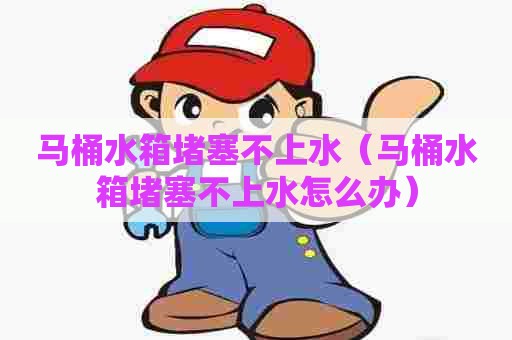 马桶水箱堵塞不上水（马桶水箱堵塞不上水怎么办）