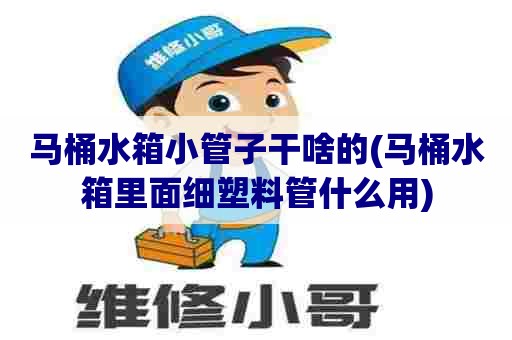 马桶水箱小管子干啥的(马桶水箱里面细塑料管什么用) 马桶水箱小管子干啥的(马桶水箱里面细塑料管什么用)