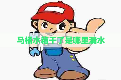 马桶水箱干了是哪里漏水