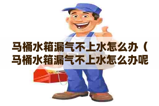 马桶水箱漏气不上水怎么办（马桶水箱漏气不上水怎么办呢）