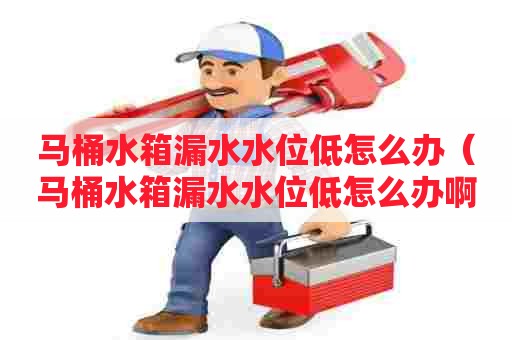 马桶水箱漏水水位低怎么办(马桶水箱漏水水位低怎么办啊) 马桶水箱漏水水位低怎么办(马桶水箱漏水水位低怎么办啊)