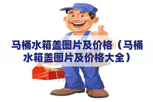 马桶水箱盖图片及价格（马桶水箱盖图片及价格大全）