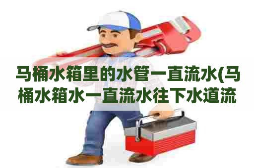 马桶水箱里的水管一直流水(马桶水箱水一直流水往下水道流咋办) 马桶水箱里的水管一直流水(马桶水箱水一直流水往下水道流咋办)