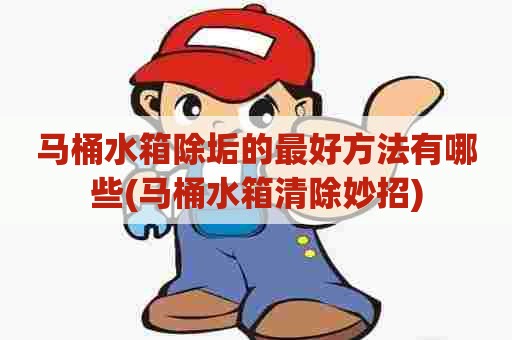 马桶水箱除垢的最好方法有哪些(马桶水箱清除妙招)