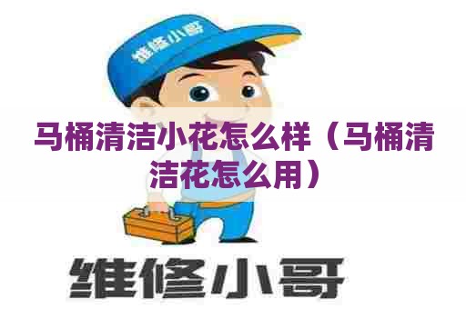 马桶清洁小花怎么样(马桶清洁花怎么用) 马桶清洁小花怎么样(马桶清洁花怎么用)