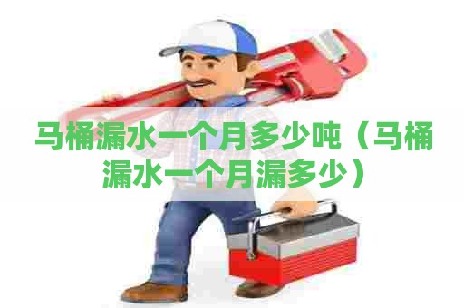 马桶漏水一个月多少吨(马桶漏水一个月漏多少) 马桶漏水一个月多少吨(马桶漏水一个月漏多少)