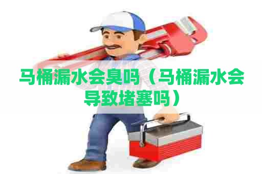 马桶漏水会臭吗(马桶漏水会导致堵塞吗) 马桶漏水会臭吗(马桶漏水会导致堵塞吗)