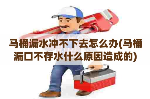 马桶漏水冲不下去怎么办(马桶漏口不存水什么原因造成的)