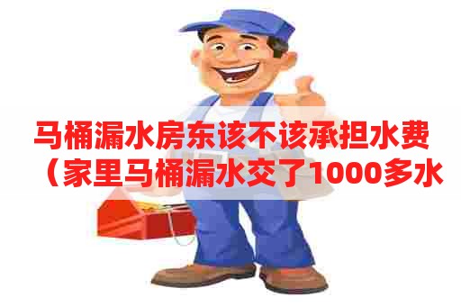 马桶漏水房东该不该承担水费（家里马桶漏水交了1000多水费）