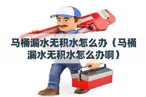 马桶漏水无积水怎么办(马桶漏水无积水怎么办啊) 马桶漏水无积水怎么办(马桶漏水无积水怎么办啊)