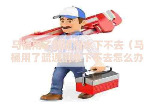 马桶用了疏通剂水下不去(马桶用了疏通剂水下不去怎么办) 马桶用了疏通剂水下不去(马桶用了疏通剂水下不去怎么办)