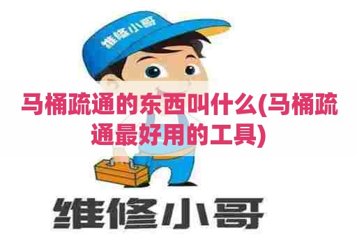 马桶疏通的东西叫什么(马桶疏通最好用的工具)