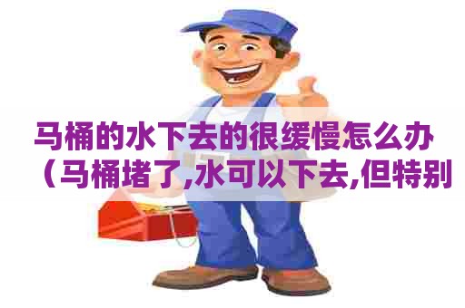 马桶的水下去的很缓慢怎么办(马桶堵了,水可以下去,但特别慢) 马桶的水下去的很缓慢怎么办(马桶堵了,水可以下去,但特别慢)