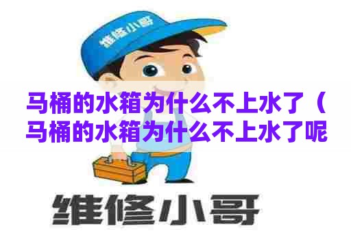 马桶的水箱为什么不上水了（马桶的水箱为什么不上水了呢）