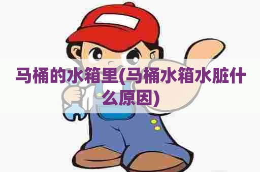 马桶的水箱里(马桶水箱水脏什么原因) 马桶的水箱里(马桶水箱水脏什么原因)