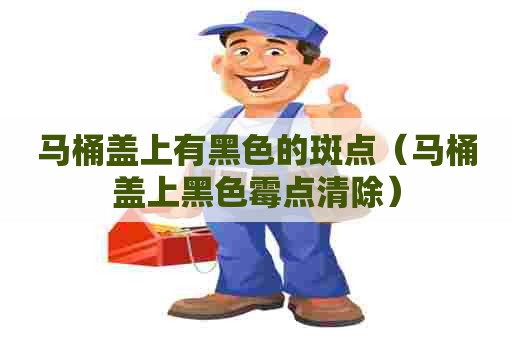 马桶盖上有黑色的斑点（马桶盖上黑色霉点清除）