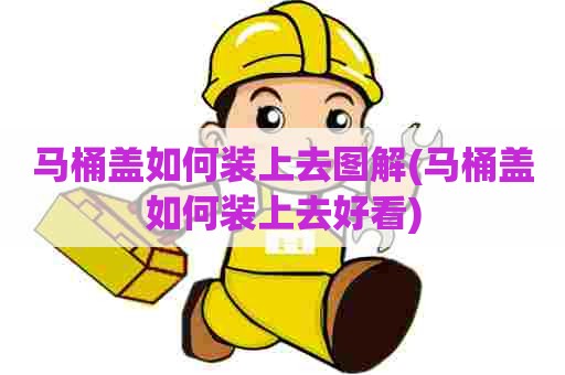 马桶盖如何装上去图解(马桶盖如何装上去好看)