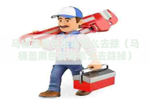 马桶盖黑色发霉怎么去除（马桶盖黑色发霉怎么去除掉）