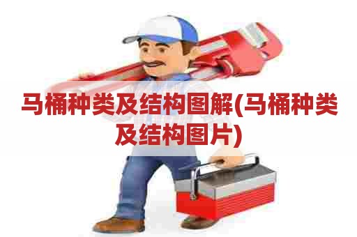 马桶种类及结构图解(马桶种类及结构图片)