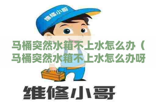 马桶突然水箱不上水怎么办(马桶突然水箱不上水怎么办呀) 马桶突然水箱不上水怎么办(马桶突然水箱不上水怎么办呀)