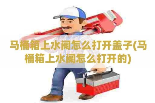 马桶箱上水阀怎么打开盖子(马桶箱上水阀怎么打开的) 马桶箱上水阀怎么打开盖子(马桶箱上水阀怎么打开的)