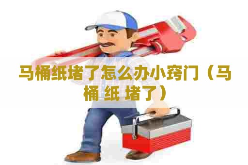 马桶纸堵了怎么办小窍门（马桶 纸 堵了）