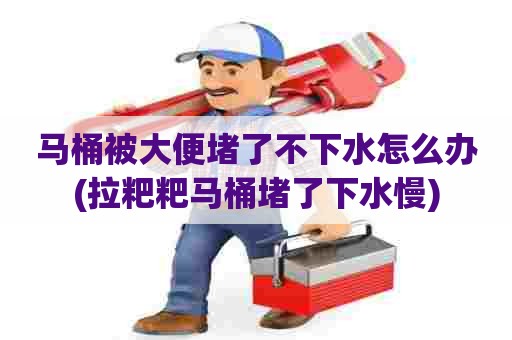 马桶被大便堵了不下水怎么办(拉粑粑马桶堵了下水慢) 马桶被大便堵了不下水怎么办(拉粑粑马桶堵了下水慢)