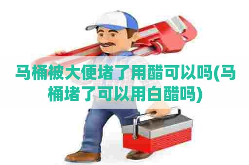 马桶被大便堵了用醋可以吗(马桶堵了可以用白醋吗)