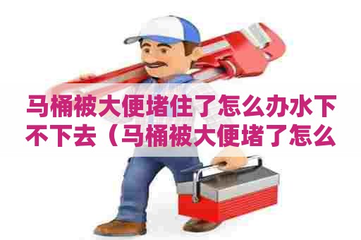 马桶被大便堵住了怎么办水下不下去（马桶被大便堵了怎么办堵住了怎么办）